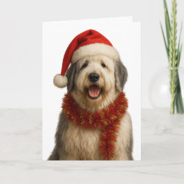 Old English Sheepdog in a Santa hat Christmas card Kaart