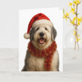 Old English Sheepdog in a Santa hat Christmas card Kaart (Gele Bloem)