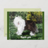 Old English Sheepdog Pet Bedankt Briefkaart (Voorkant / Achterkant)