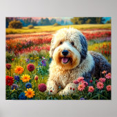 Old English Sheepdog Poster (Voorkant)