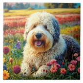 Old English Sheepdog Tegeltje (Voorkant)
