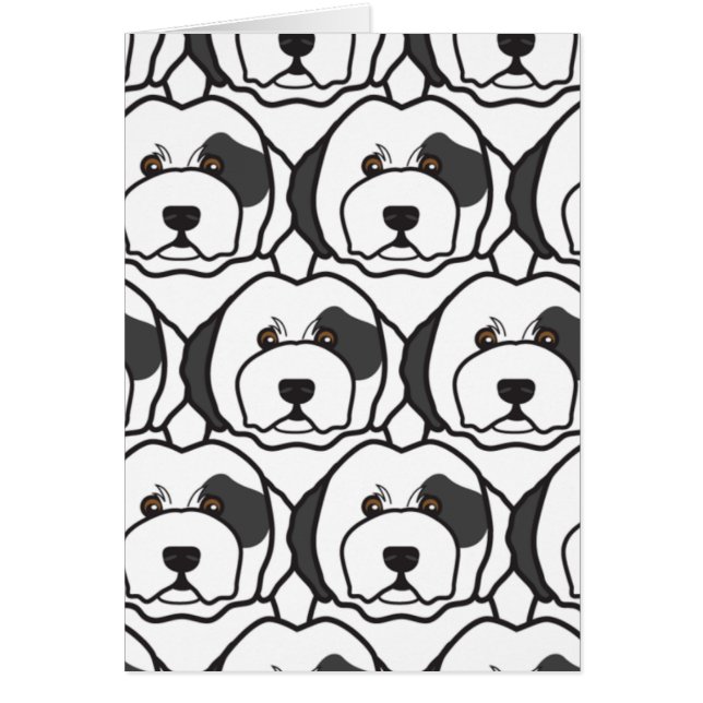 Old English Sheepdogs (Voorkant)