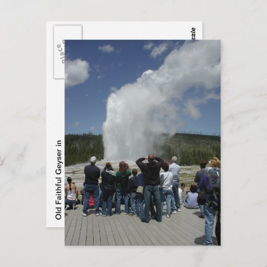 Old Faithful Geyser Briefkaart (Voorkant / Achterkant)