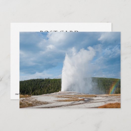 Old Faithful Geyser Briefkaart (Voorkant / Achterkant)