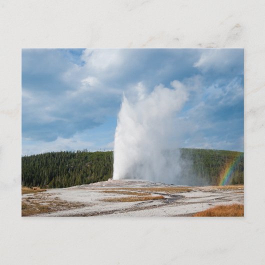 Old Faithful Geyser Briefkaart (Voorkant)