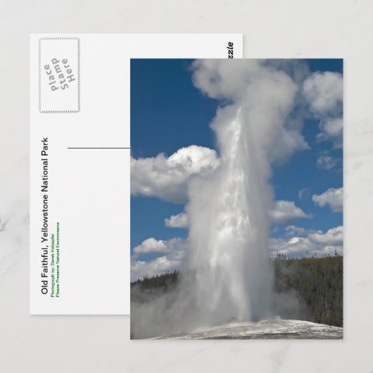 Old Faithful Geyser - Briefkaart (Voorkant / Achterkant)