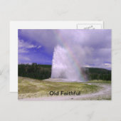 Old Faithful in Yellowstone National Park Briefkaart (Voorkant / Achterkant)
