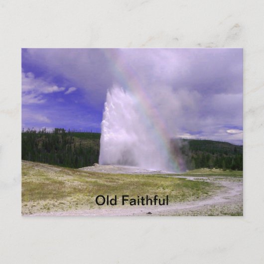 Old Faithful in Yellowstone National Park Briefkaart (Voorkant)