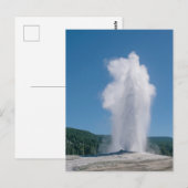 Old Faithful uitbarsting in Yellowstone Briefkaart (Voorkant / Achterkant)