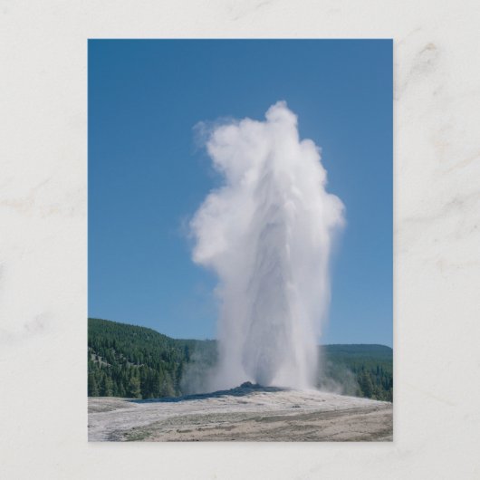 Old Faithful uitbarsting in Yellowstone Briefkaart (Voorkant)