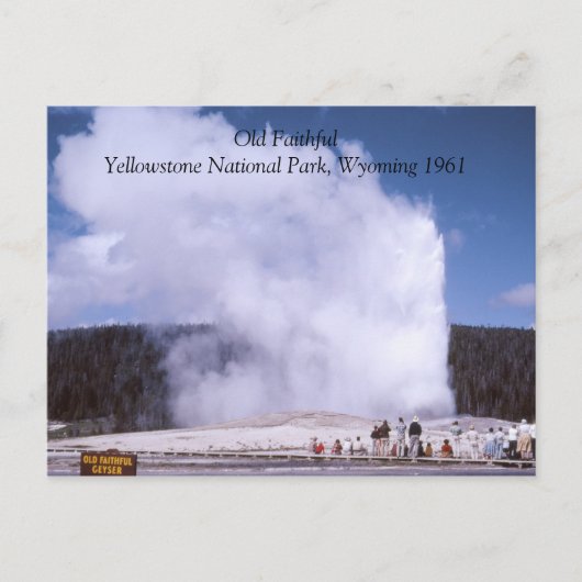 Old Faithful Yellowstone National Park Briefkaart (Voorkant)