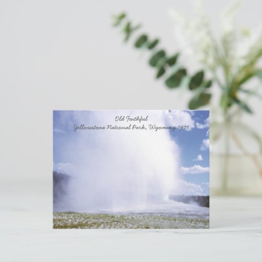 Old Faithful Yellowstone National Park Briefkaart (Staand voorkant)