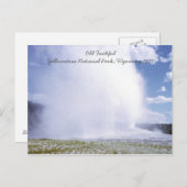 Old Faithful Yellowstone National Park Briefkaart (Voorkant / Achterkant)