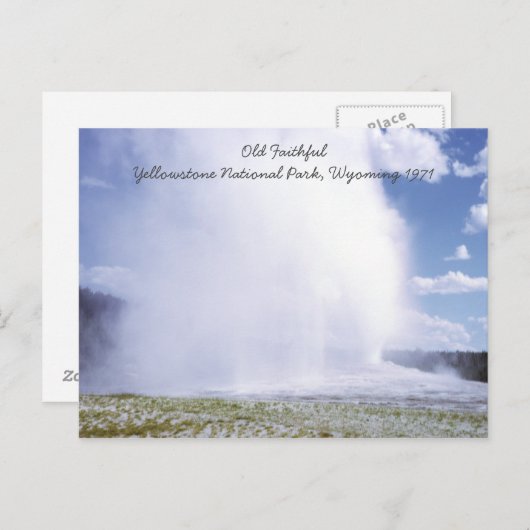 Old Faithful Yellowstone National Park Briefkaart (Voorkant / Achterkant)