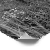 Old Farmhouse Poster (Hoek)