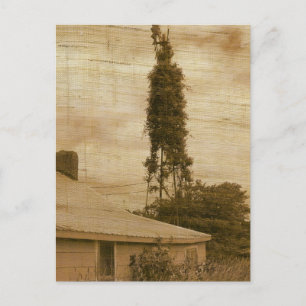 Old Farmstead 2 Briefkaart