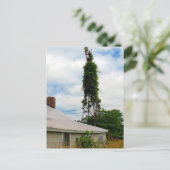 Old Farmstead Briefkaart (Staand voorkant)