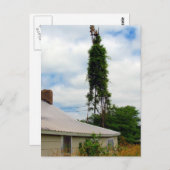 Old Farmstead Briefkaart (Voorkant / Achterkant)