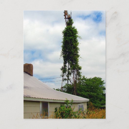 Old Farmstead Briefkaart (Voorkant)