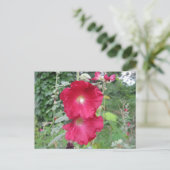 Old Fashioned Hollyhock Flowers Briefkaart (Staand voorkant)