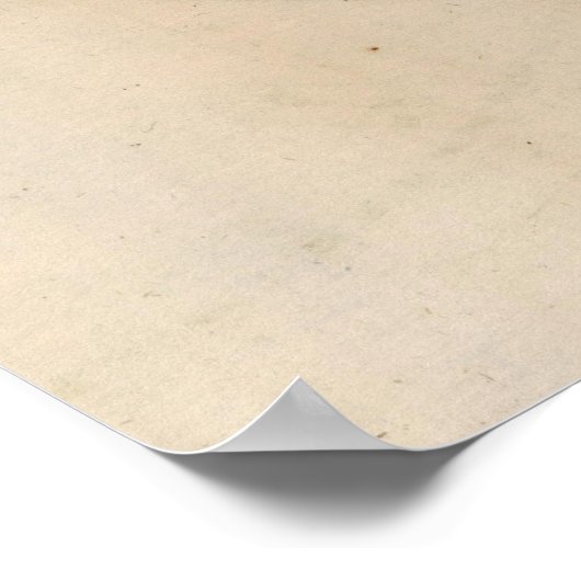 Old Fashioned World Map (1795) Poster (Hoek)