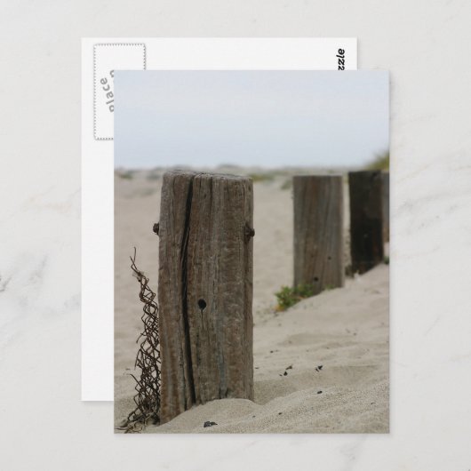 Old Fence Poles Briefkaart (Voorkant / Achterkant)