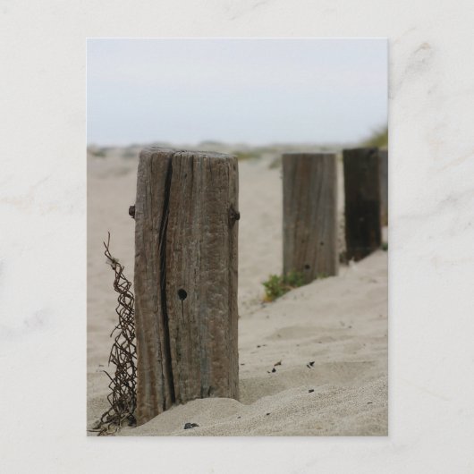 Old Fence Poles Briefkaart (Voorkant)