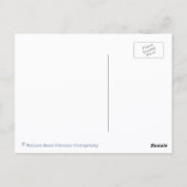 Old Fighter Biplane Airplanes Postcard Briefkaart (Achterkant)