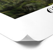 Old Florida Mill Poster (Hoek)