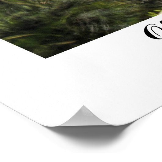 Old Florida Mill Poster (Hoek)