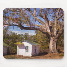 Old Florida Rustic Motel Cabins langs de weg