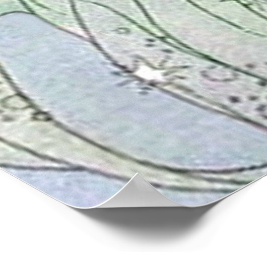 "Old French Fairy Tales" van Virginia Francess Ste Poster (Hoek)