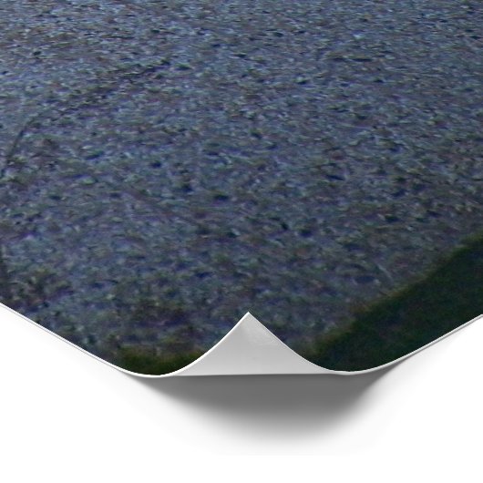 Old Glory Poster (Hoek)