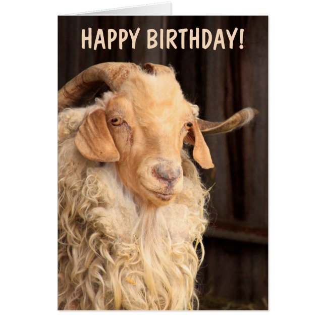 Old Goat Funny Birthday (Voorkant)