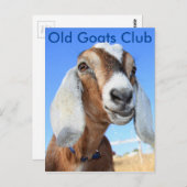 Old Goats Club Briefkaart (Voorkant / Achterkant)