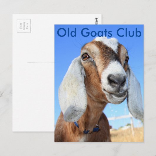 Old Goats Club Briefkaart (Voorkant / Achterkant)