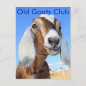 Old Goats Club Briefkaart (Voorkant)