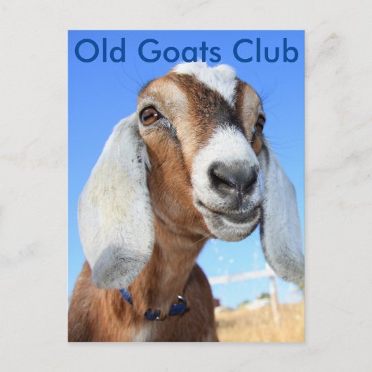 Old Goats Club Briefkaart (Voorkant)