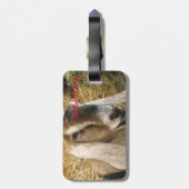 Old Goats Club Label Bagagelabel (Achterkant verticaal)