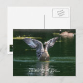 Old Goose Wing Action Briefkaart (Voorkant / Achterkant)