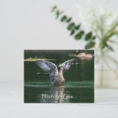 Old Goose Wing Action Briefkaart (Staand voorkant)