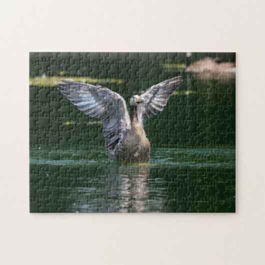 Old Goose Wing Action Legpuzzel (Horizontaal)