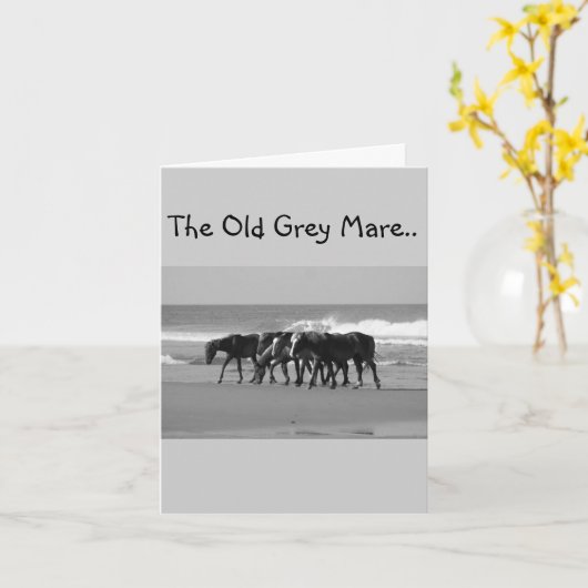 OLD GREY MARE IS GEWOON NIET ZO JONG-GROEP KAART (Gele Bloem)