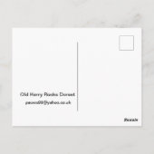 Old Harry Rocks Dorset Briefkaart (Achterkant)