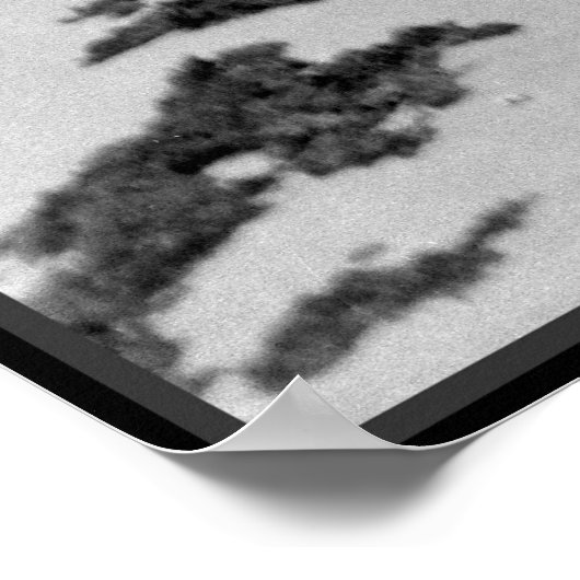 Old Hawaii strand Poster (Hoek)