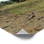 Old Homestead Poster (Hoek)