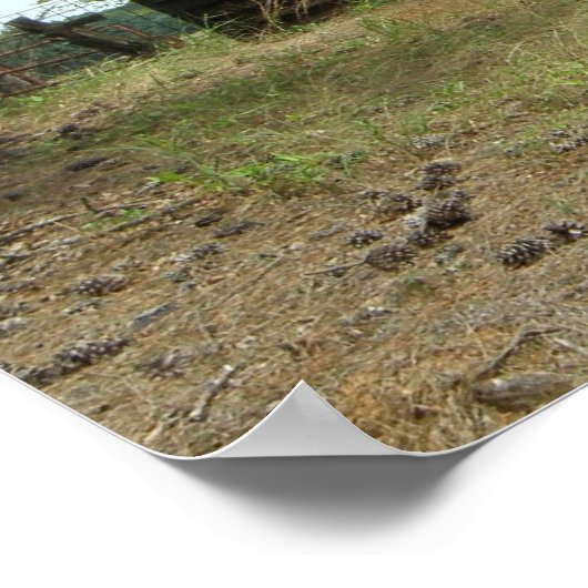 Old Homestead Poster (Hoek)