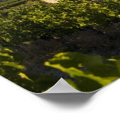 Old house in the Comtat Venaissin, Vaucluse, Poster (Hoek)