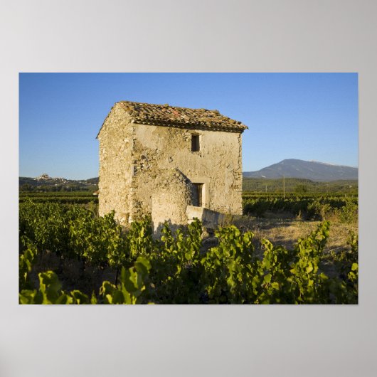 Old house in the Comtat Venaissin, Vaucluse, Poster (Voorkant)