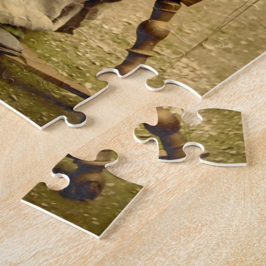 Old Irish Wool Spinner Lady, Jigzaag Puzzle Legpuzzel (Zijkant)